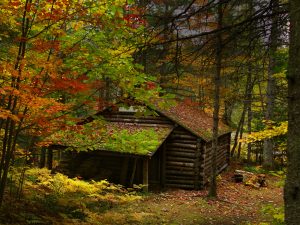 Log Cabin Staining in the Adirondacks